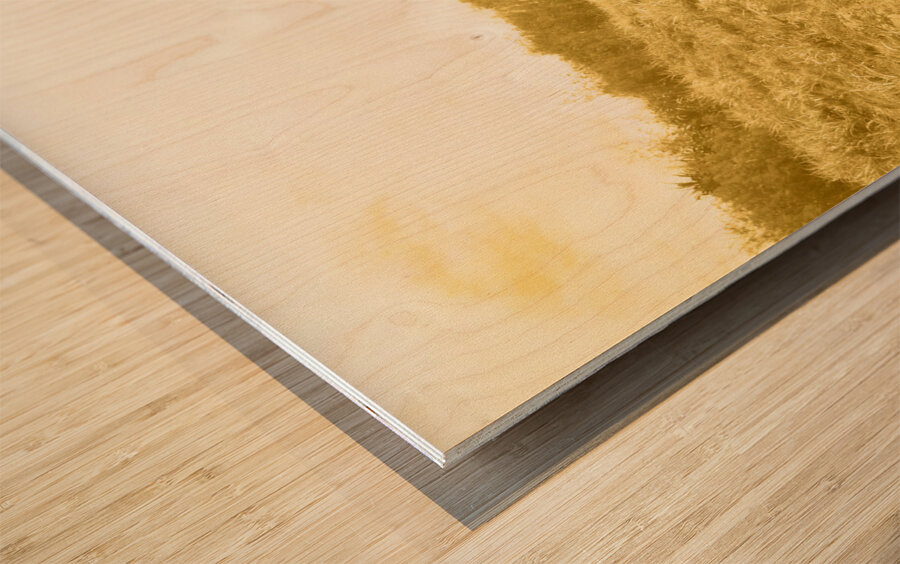 Faded Film Surfing Memories Wood print