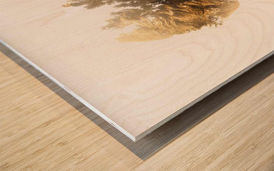 Finding spirit within Wood print