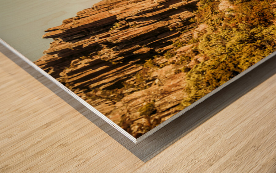 Rugged mountain trail Wood print