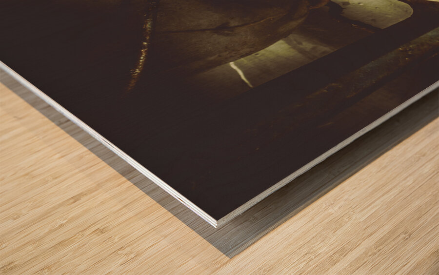 Drinks at the miners cottage Wood print