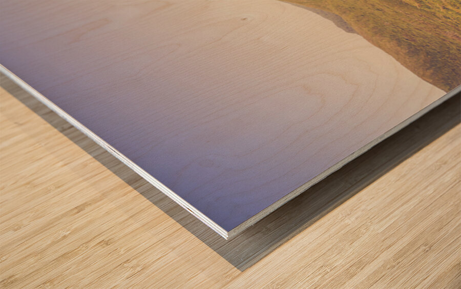 Antique Australia Beach Wood print