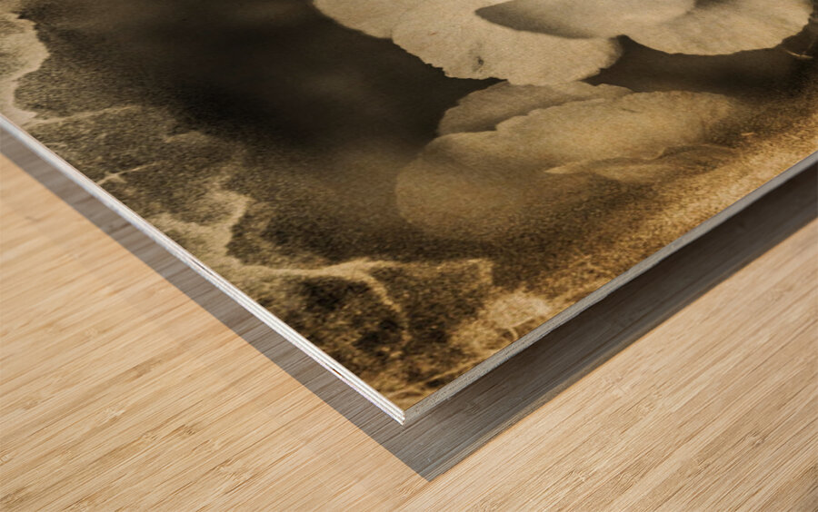 Romances from past times Wood print