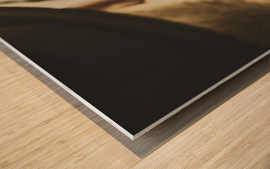 Movie memorabilia Wood print