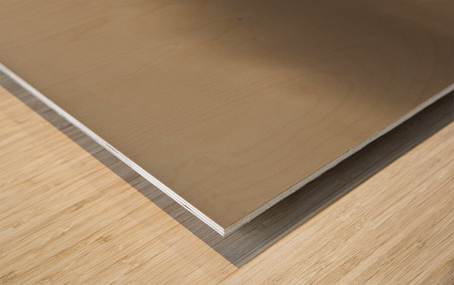 Minimalism on the rock pools Wood print