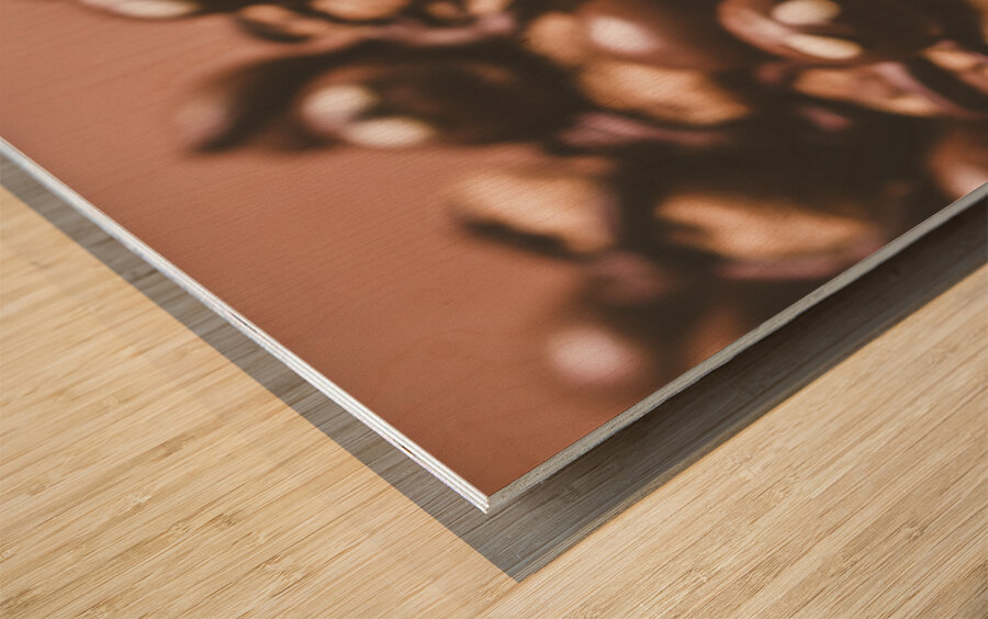 Spider bites Wood print