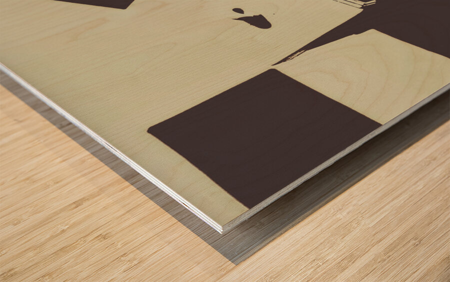 Monochromatic antique cameras and photos Wood print