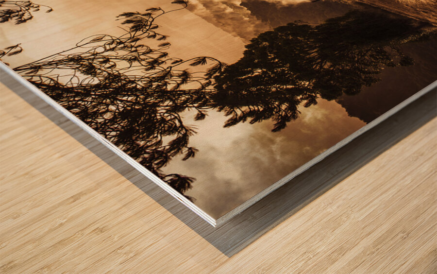 Peaceful vintage landscape of a rural meadow Wood print