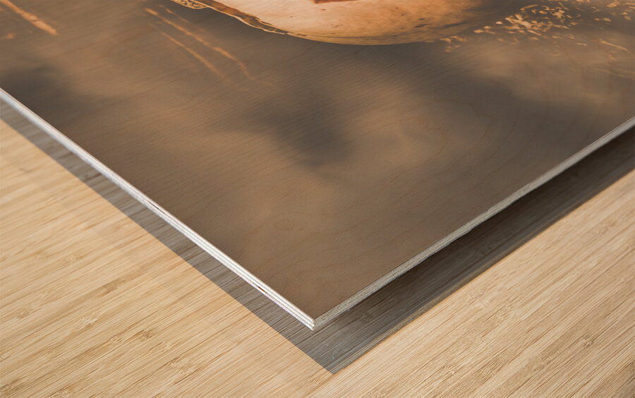 Rustic barn pumpkin head in horror fog Wood print