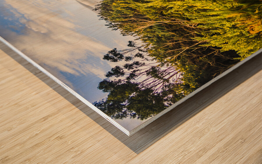 Puddles and outback tracks Wood print