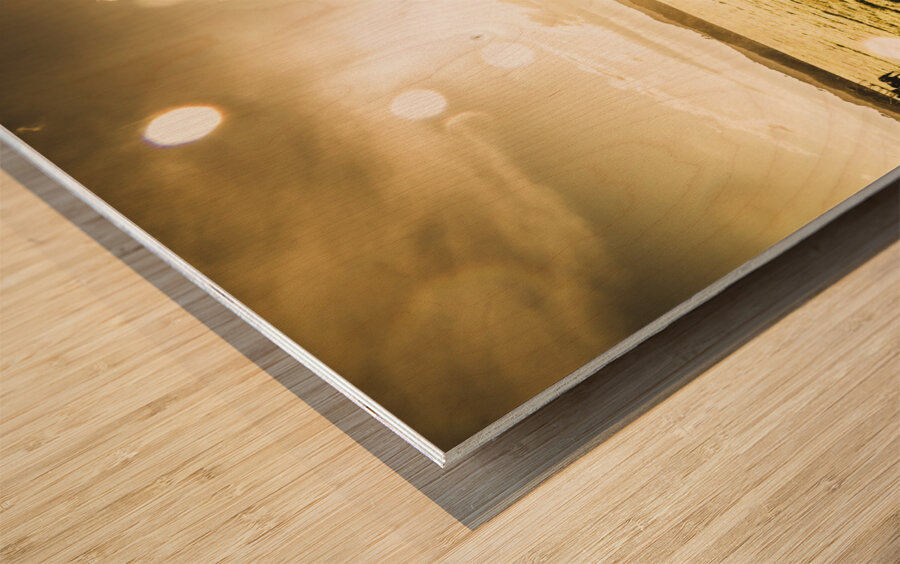 Australian rural dirt road  Wood print