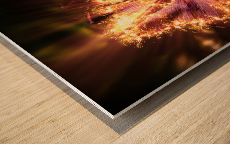 Flower power Wood print