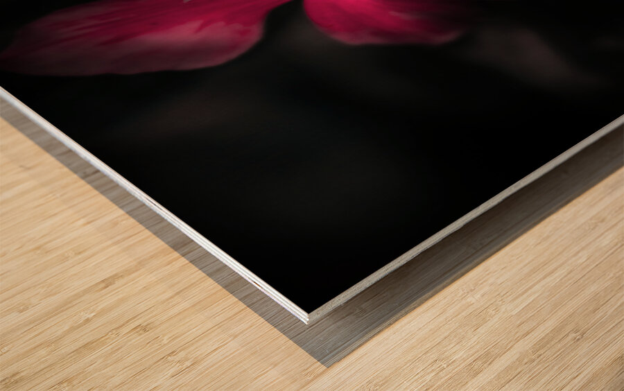 Pink periwinkle pair Wood print