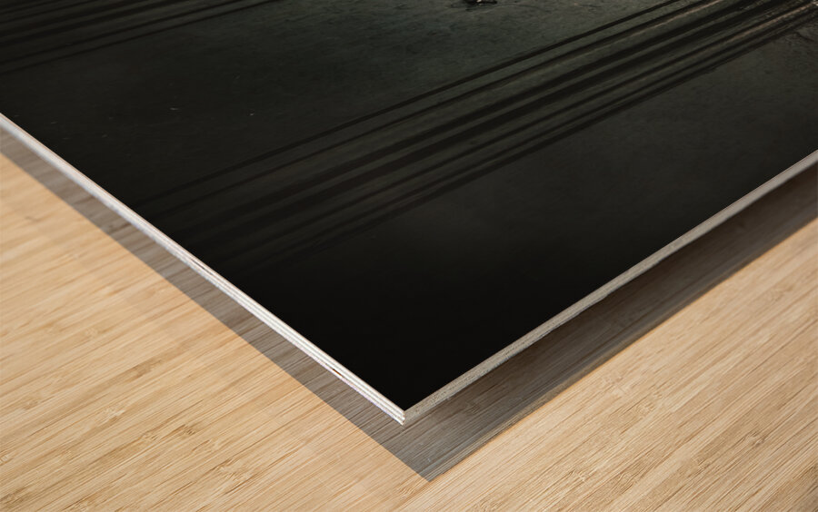 Safety behind closed doors Wood print