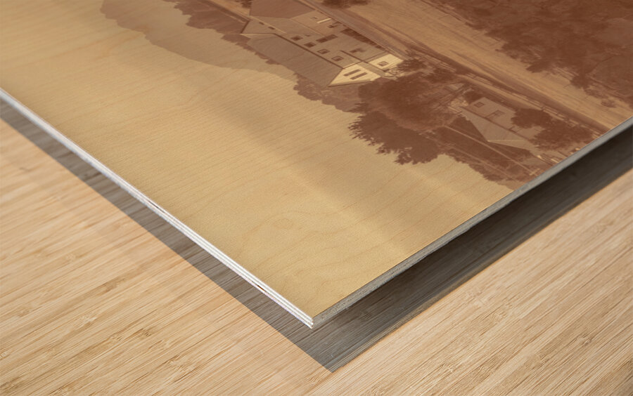 Old rural town of Waratah in Tasmania Australia Wood print