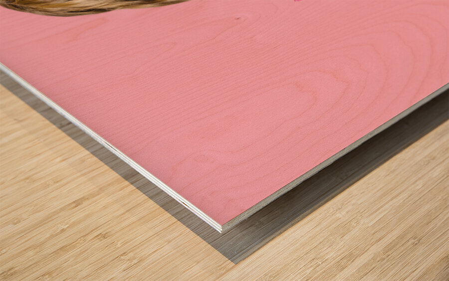 Beauty salon pinup girl smiling with haircare comb Wood print