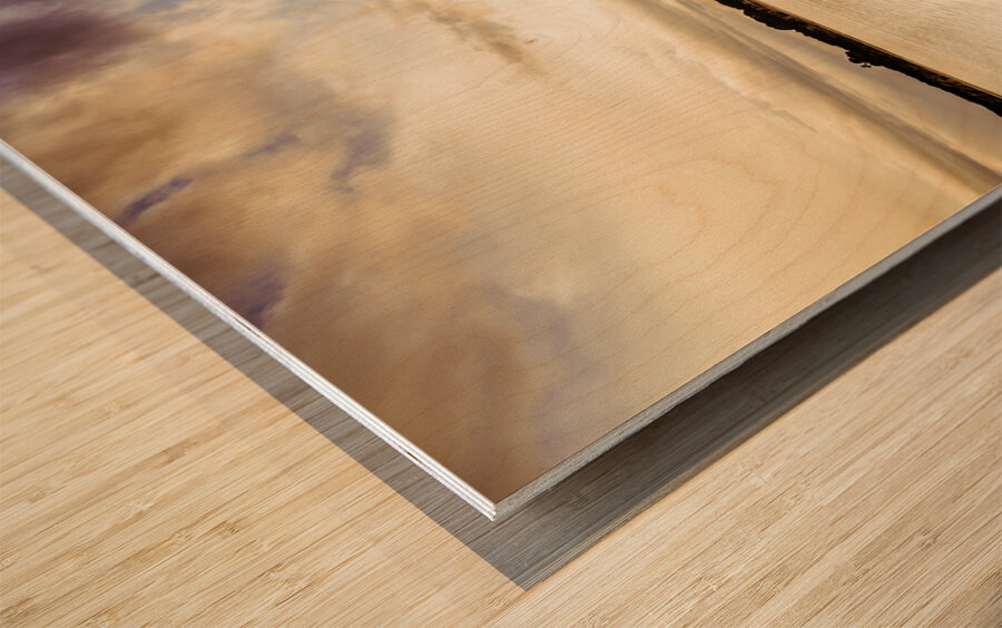 Pastel bay Wood print