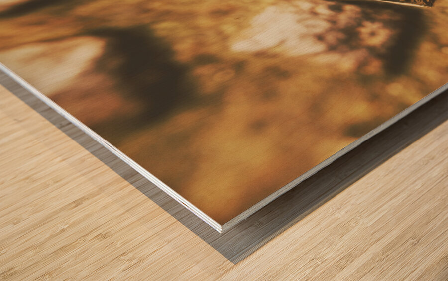 Forged in the crusades Wood print