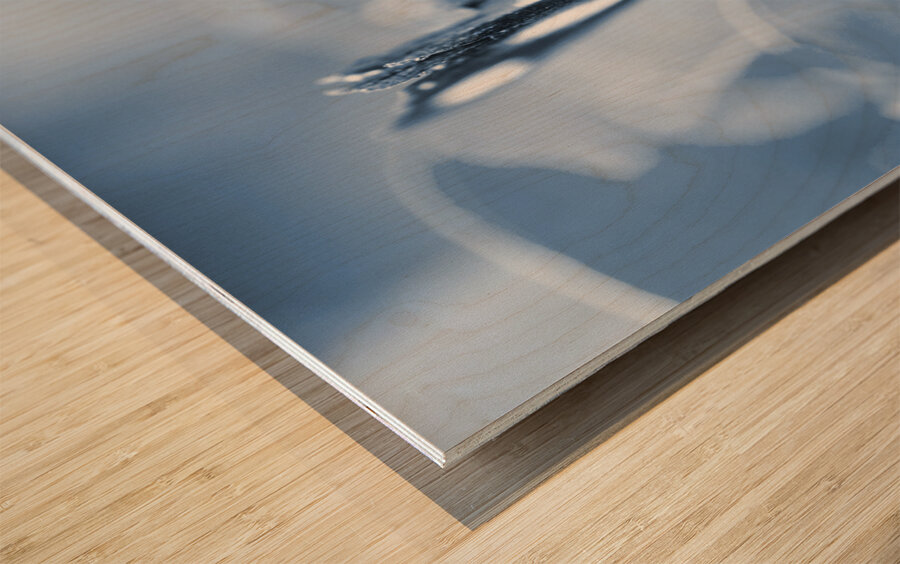 Blue spring Wood print