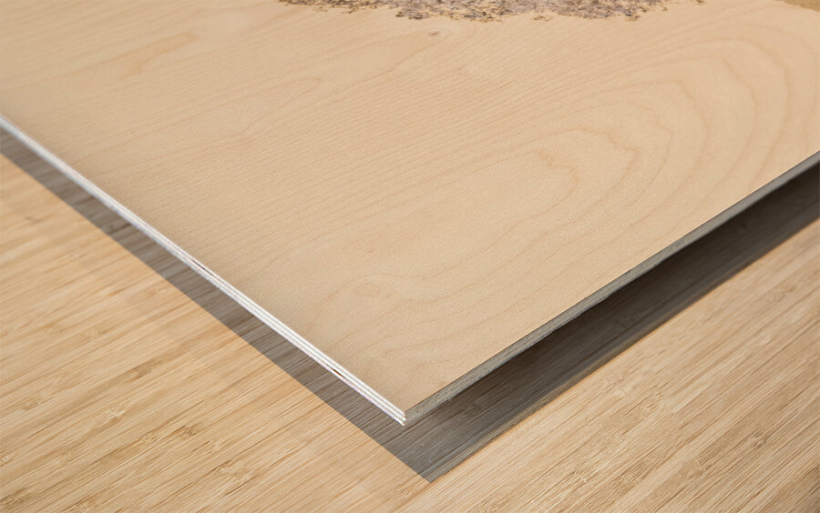 Infrared Lake Samsonvale Wood print