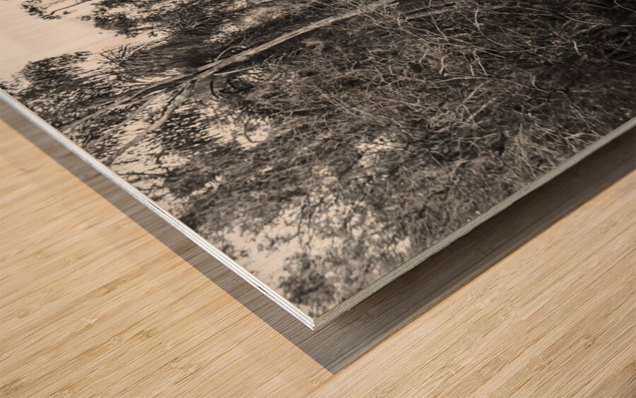 Wildering woods Wood print