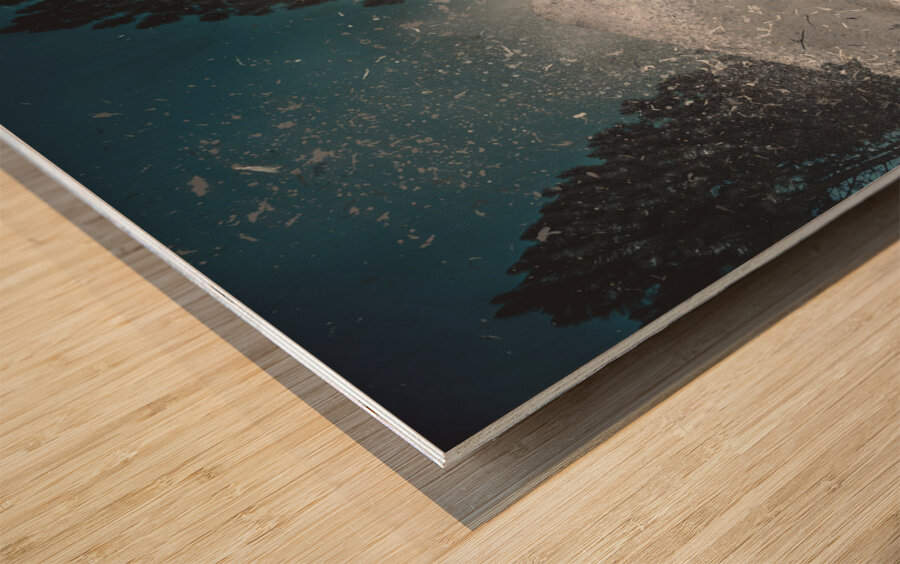 A valiant cover up Wood print