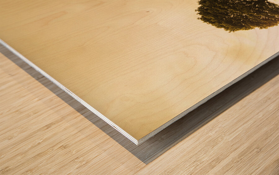 Ridgley hilltop Wood print