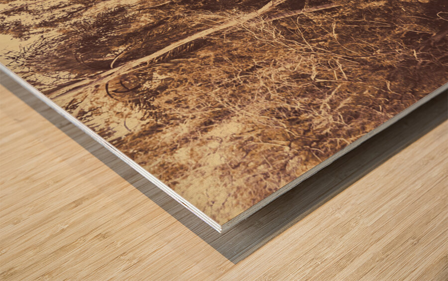 Wild ways Wood print