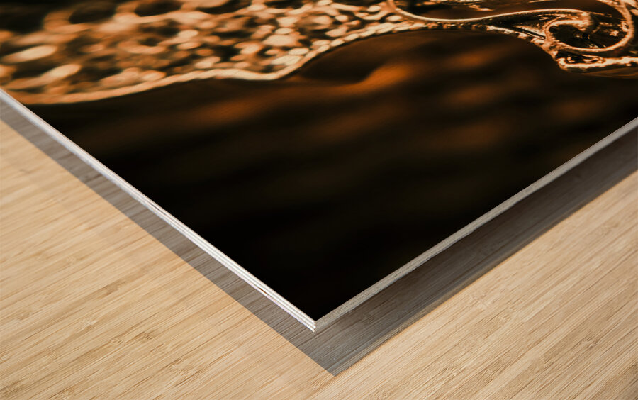 Diamond ensemble Wood print