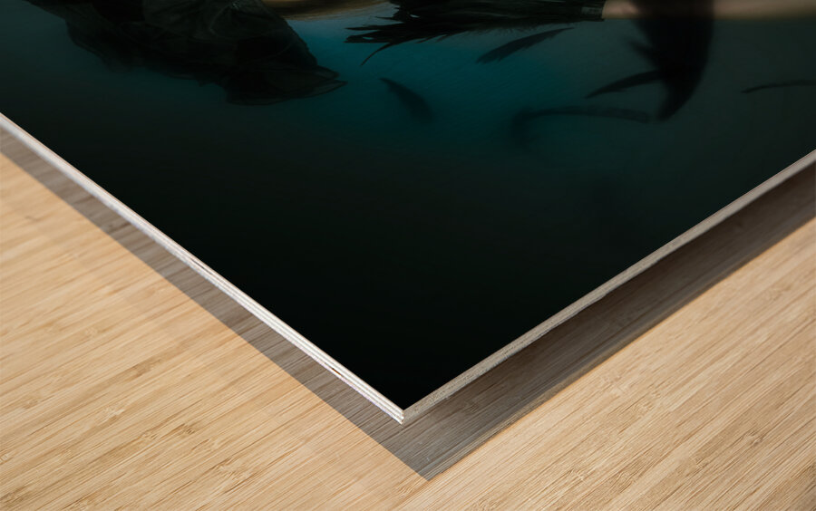 Beautiful mystical girl in delicate black fashion Wood print