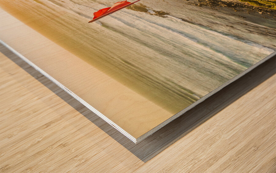 Trials and triumphs  Wood print