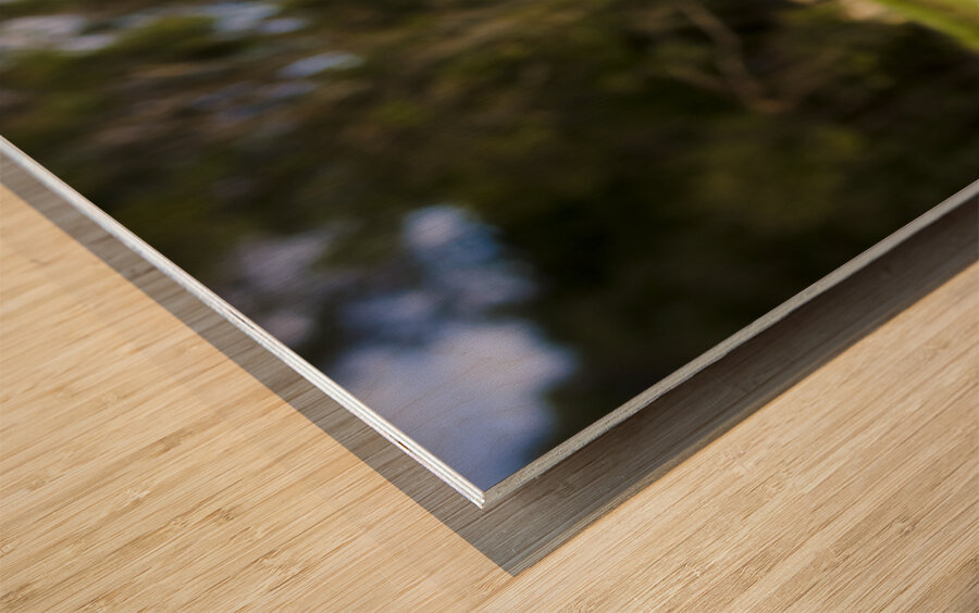 Work Life Balance Wood print