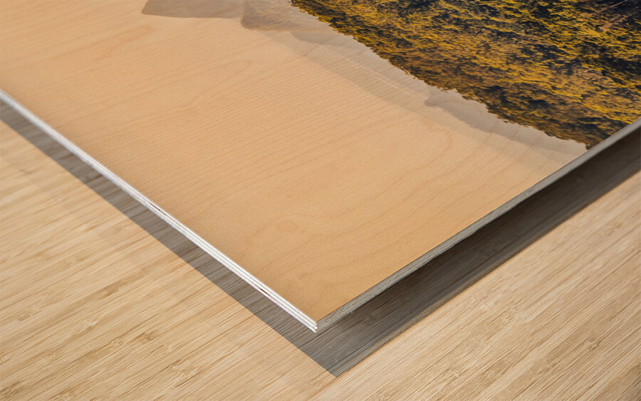 View to the Sunshine Coast Wood print