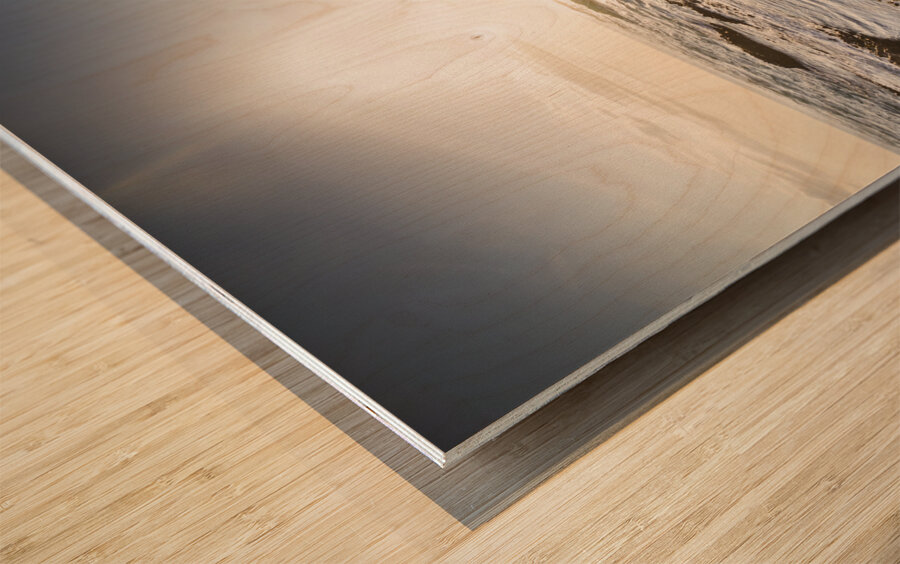 Shore rays Wood print