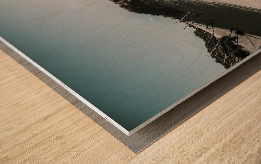 Winter desert landscape Wood print