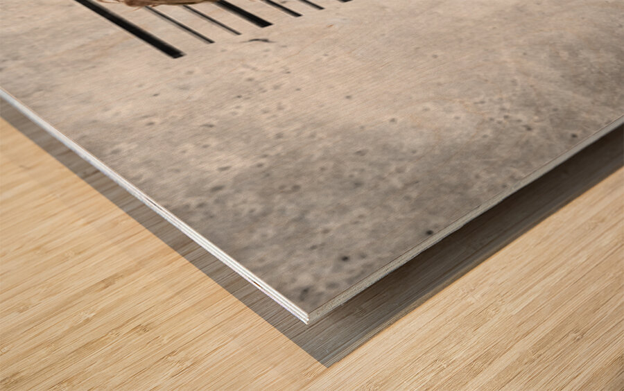 Line Up Of The Usual Suspects Wood print