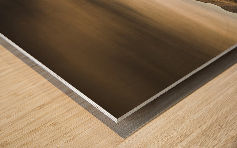 Beauty in rural dilapidation Wood print