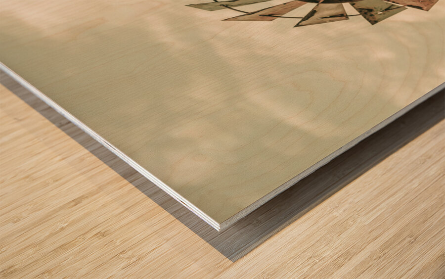 Australian Aermotor windmill Wood print