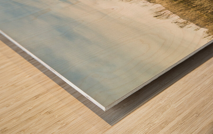 Rural road to Australian mountains Wood print