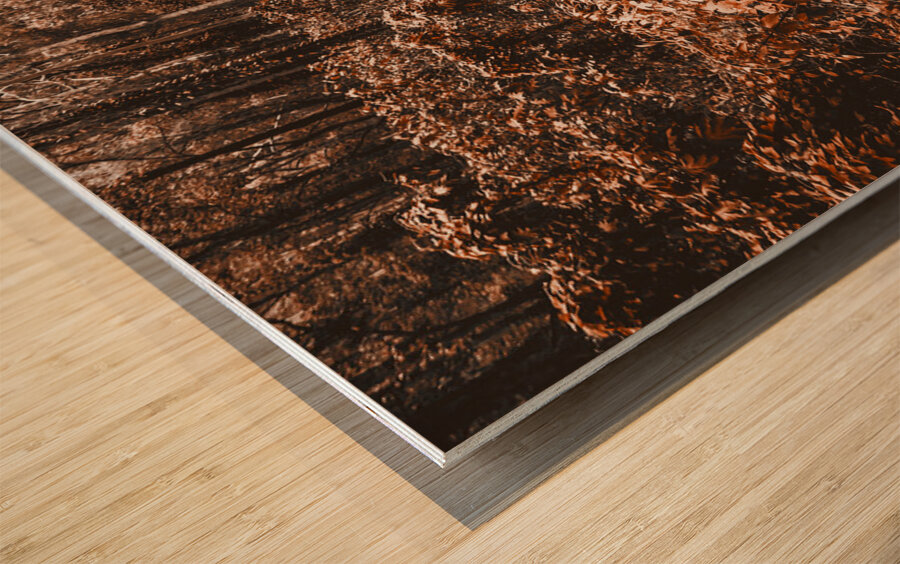 Wayback woods Wood print