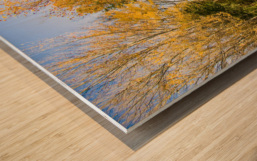 Autumn Drive Wood print