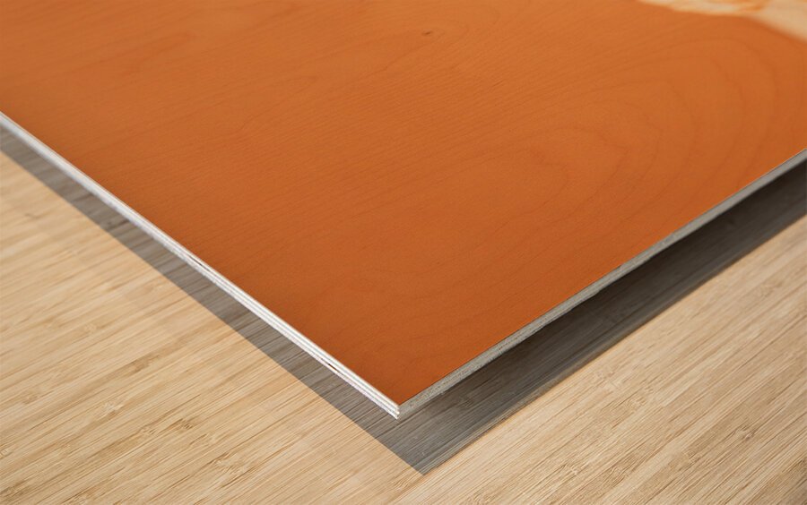 Home baked chocolate biscuits Wood print