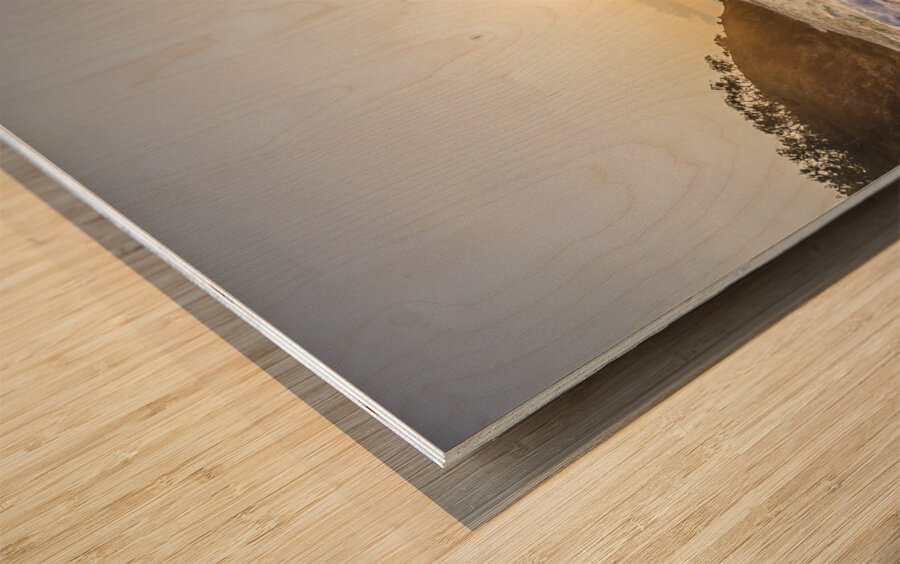 Captivating Coast Wood print