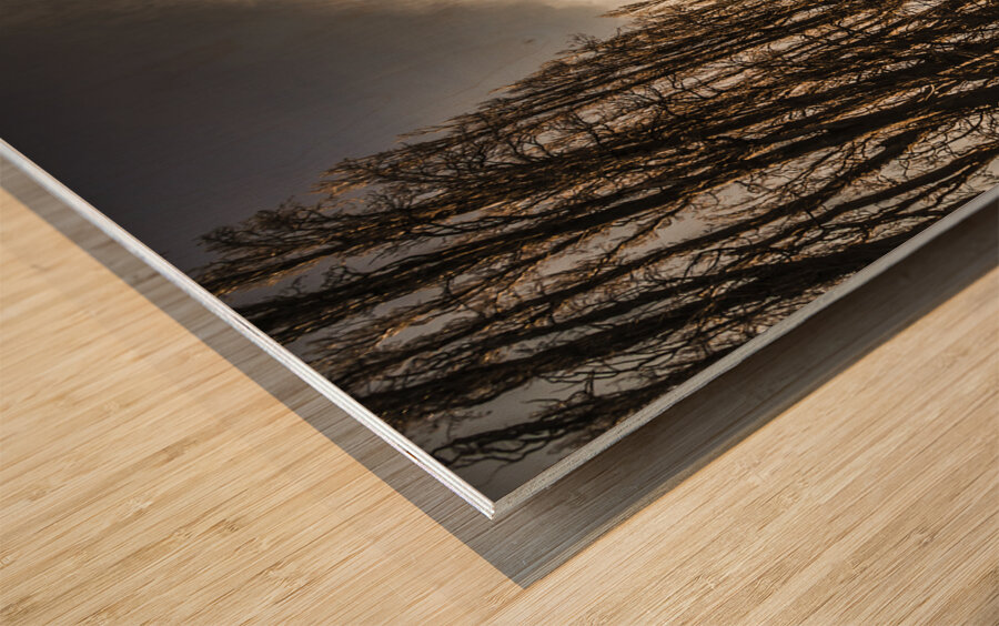 Twisted roads and dead trees Wood print