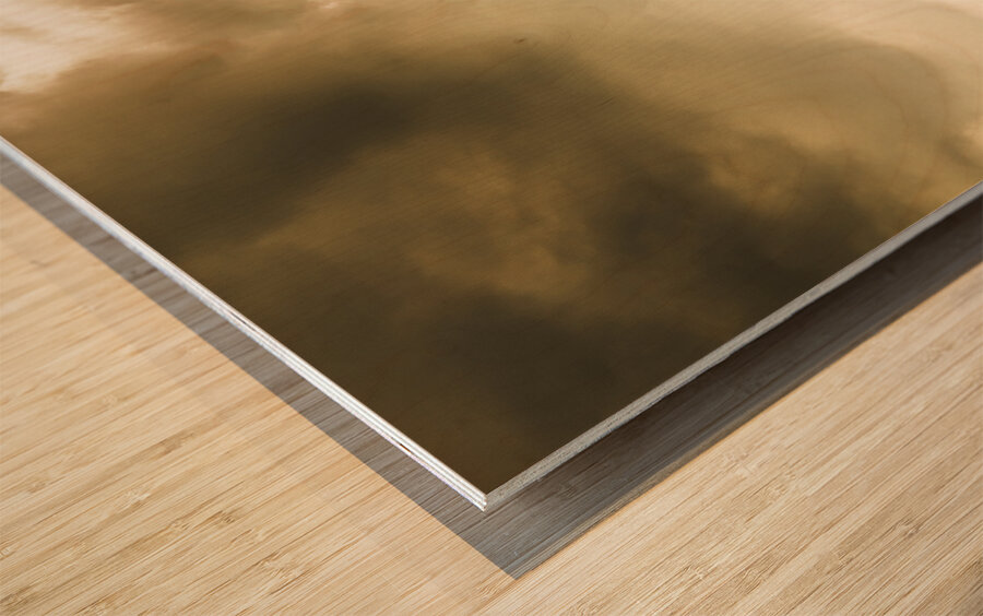 Lush green country farmland Wood print