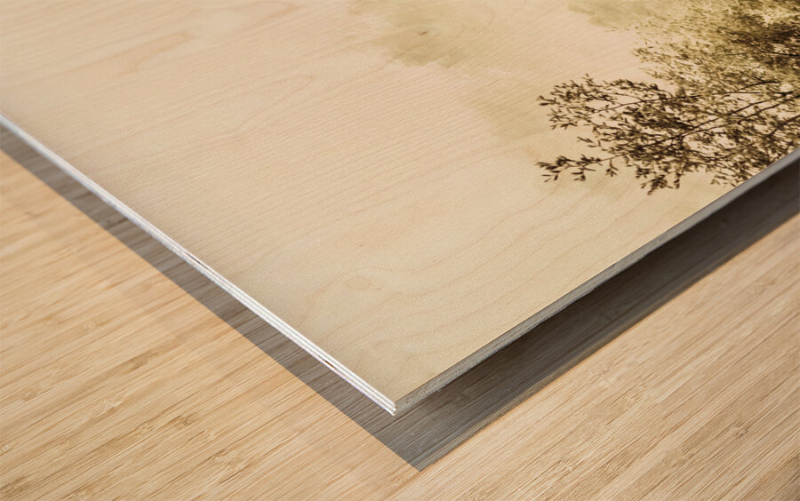 Vintage winter woodland Wood print