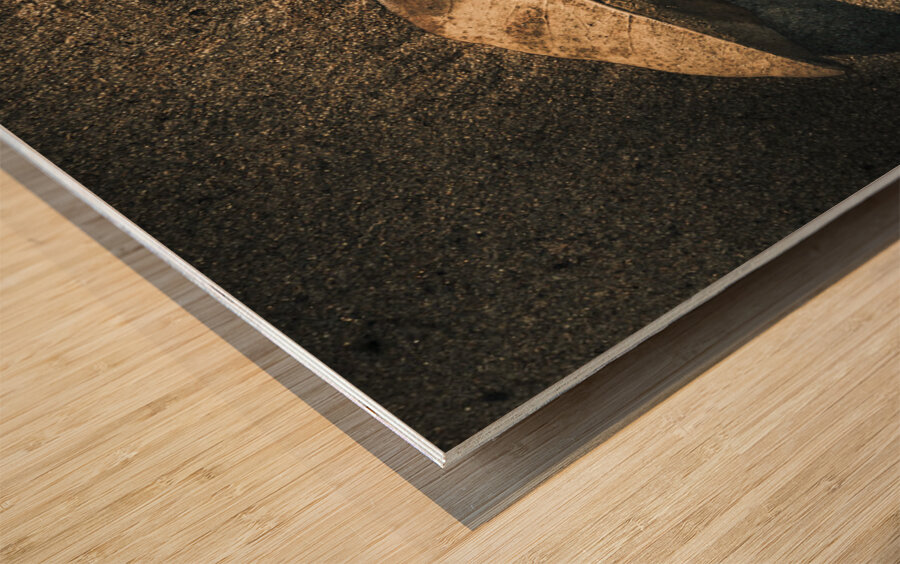 The desert burial Wood print