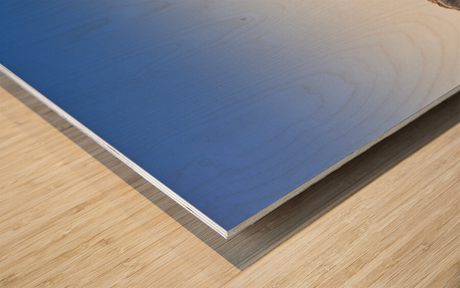 Coastal Tasmanian town Wood print