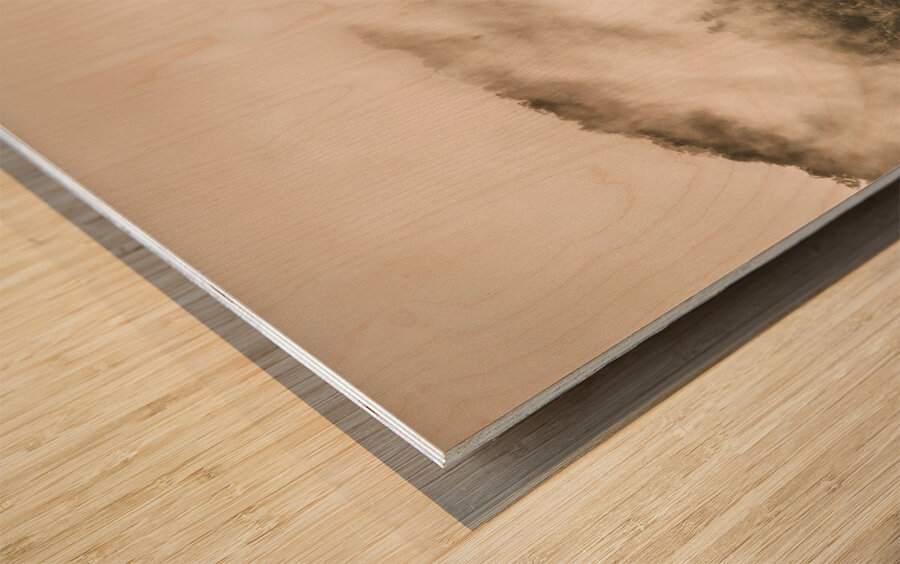 Elevated wonder Wood print