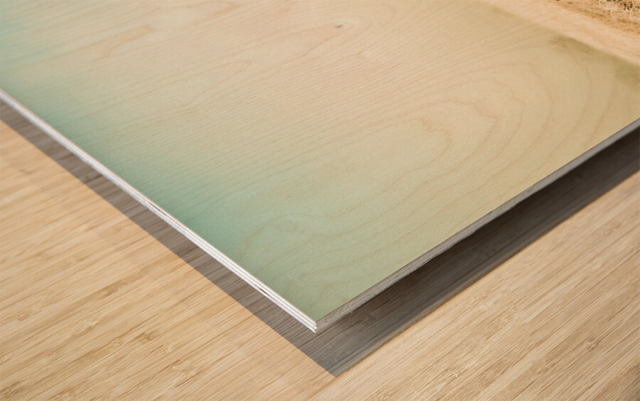 Winter road wonderland Wood print