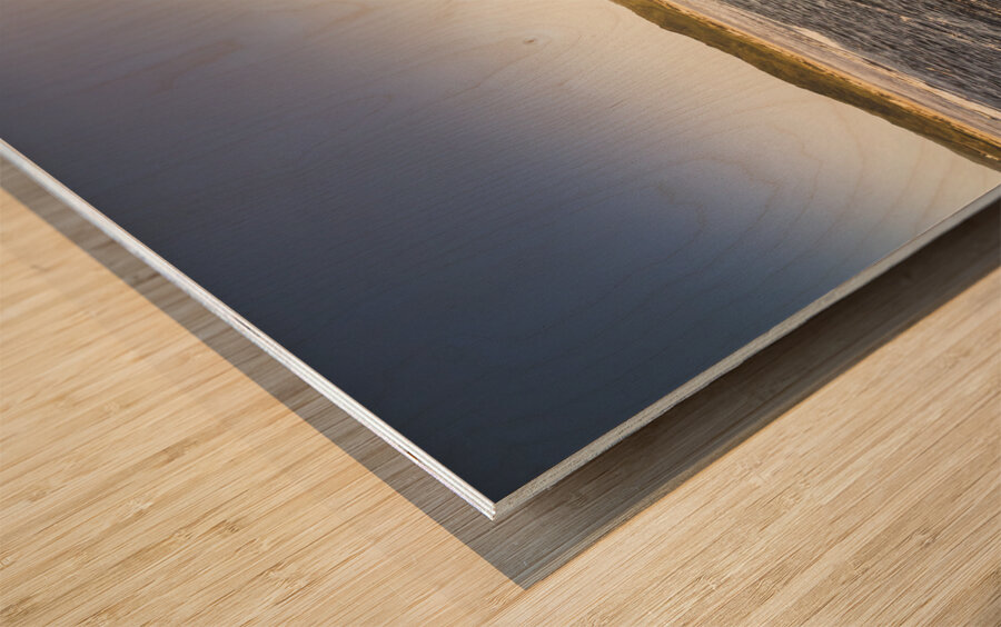 Calming coastal waters Wood print